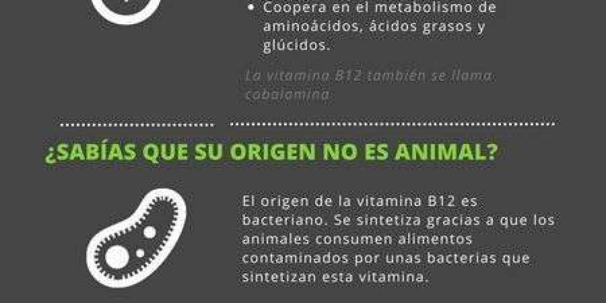 Vitaminas del complejo B: para qué sirven y cuándo tomar